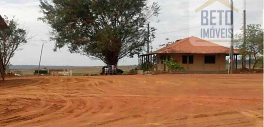 Fazenda TOP Produtiva Lavoura Pasto 46.623 hectares e Pista de Pouso | Paragominas/ PA