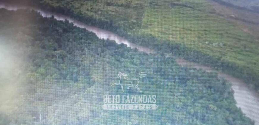 Fazenda à Venda Completíssima 149.166 hectares 4 Pistas de Pouso | Rondolândia/ MT