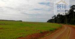 Fazenda TOP Produtiva Lavoura Pasto 46.623 hectares e Pista de Pouso | Paragominas/ PA