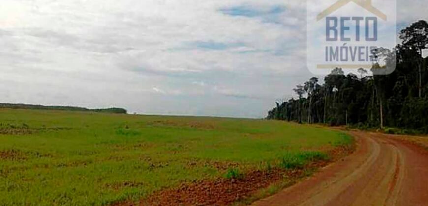 Fazenda TOP Produtiva Lavoura Pasto 46.623 hectares e Pista de Pouso | Paragominas/ PA