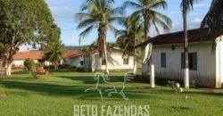 Fazenda à Venda Completíssima 149.166 hectares 4 Pistas de Pouso | Rondolândia/ MT