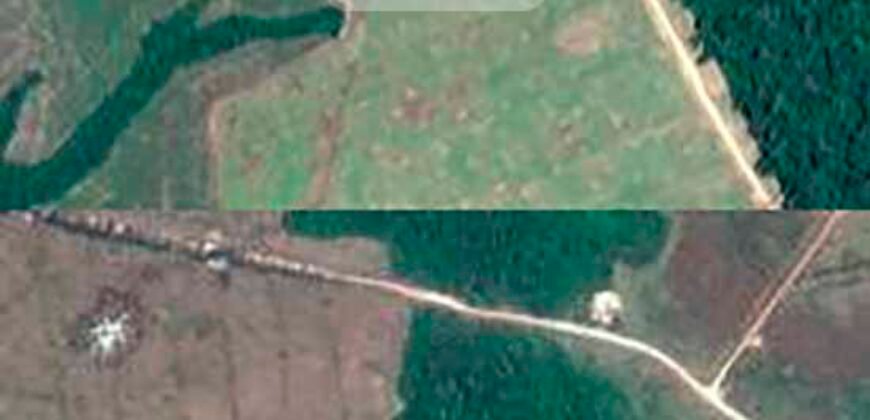 Fazenda TOP Produtiva Lavoura Pasto 46.623 hectares e Pista de Pouso | Paragominas/ PA