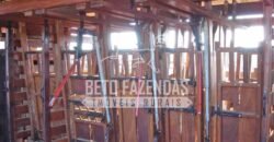 Fazenda c/ Rebanho 25mil cabeças de gado, avião e pista de pouso | Rondolândia/ MT Fazenda c/ Rebanho 25mil cabeças de gado, avião e pista de pouso | Rondolândia/ MT