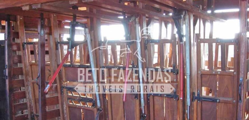 Fazenda c/ Rebanho 25mil cabeças de gado, avião e pista de pouso | Rondolândia/ MT Fazenda c/ Rebanho 25mil cabeças de gado, avião e pista de pouso | Rondolândia/ MT