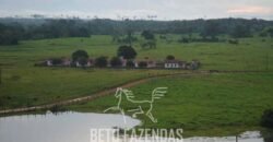 Fazenda à Venda Completíssima 149.166 hectares 4 Pistas de Pouso | Rondolândia/ MT