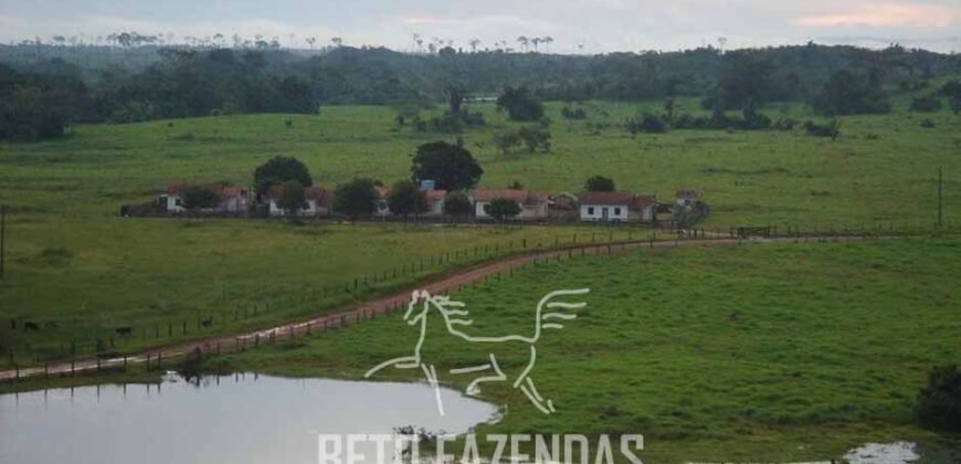 Fazenda à Venda Completíssima 149.166 hectares 4 Pistas de Pouso | Rondolândia/ MT
