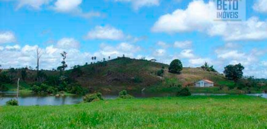 Fazenda c/ Rebanho 25mil cabeças de gado, avião e pista de pouso | Rondolândia/ MT Fazenda c/ Rebanho 25mil cabeças de gado, avião e pista de pouso | Rondolândia/ MT