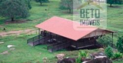 Fazenda c/ Rebanho 25mil cabeças de gado, avião e pista de pouso | Rondolândia/ MT Fazenda c/ Rebanho 25mil cabeças de gado, avião e pista de pouso | Rondolândia/ MT