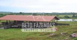 Fazenda c/ Rebanho 25mil cabeças de gado, avião e pista de pouso | Rondolândia/ MT Fazenda c/ Rebanho 25mil cabeças de gado, avião e pista de pouso | Rondolândia/ MT