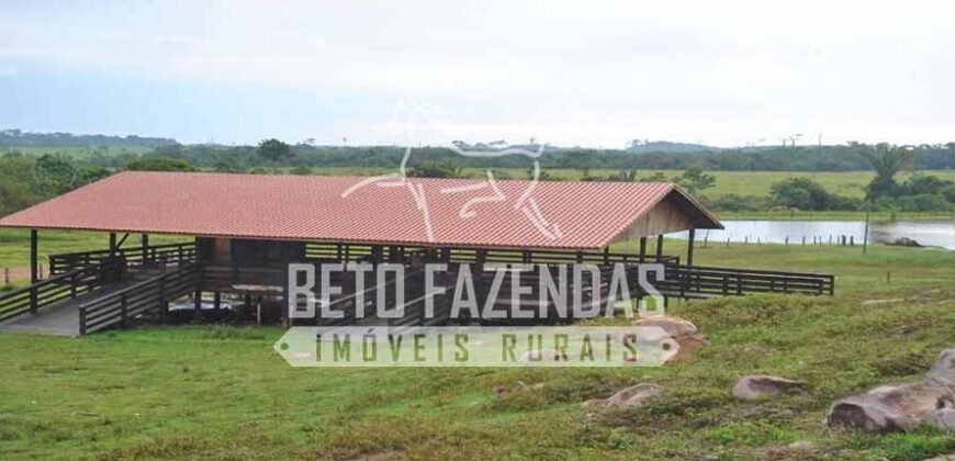 Fazenda c/ Rebanho 25mil cabeças de gado, avião e pista de pouso | Rondolândia/ MT Fazenda c/ Rebanho 25mil cabeças de gado, avião e pista de pouso | Rondolândia/ MT