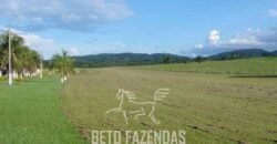 Fazenda à Venda Completíssima 149.166 hectares 4 Pistas de Pouso | Rondolândia/ MT