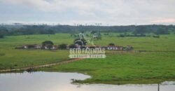 Fazenda c/ Rebanho 25mil cabeças de gado, avião e pista de pouso | Rondolândia/ MT Fazenda c/ Rebanho 25mil cabeças de gado, avião e pista de pouso | Rondolândia/ MT