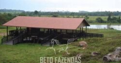 Fazenda à Venda Completíssima 149.166 hectares 4 Pistas de Pouso | Rondolândia/ MT