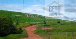 Fazenda c/ Rebanho 25mil cabeças de gado, avião e pista de pouso | Rondolândia/ MT Fazenda c/ Rebanho 25mil cabeças de gado, avião e pista de pouso | Rondolândia/ MT