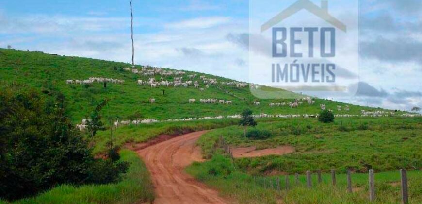 Fazenda c/ Rebanho 25mil cabeças de gado, avião e pista de pouso | Rondolândia/ MT Fazenda c/ Rebanho 25mil cabeças de gado, avião e pista de pouso | Rondolândia/ MT