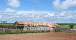 Fazenda c/ Rebanho 25mil cabeças de gado, avião e pista de pouso | Rondolândia/ MT Fazenda c/ Rebanho 25mil cabeças de gado, avião e pista de pouso | Rondolândia/ MT