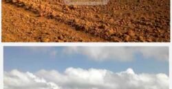 Fazenda TOP Produtiva Lavoura Pasto 46.623 hectares e Pista de Pouso | Paragominas/ PA