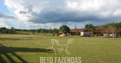 Fazenda à Venda Completíssima 149.166 hectares 4 Pistas de Pouso | Rondolândia/ MT