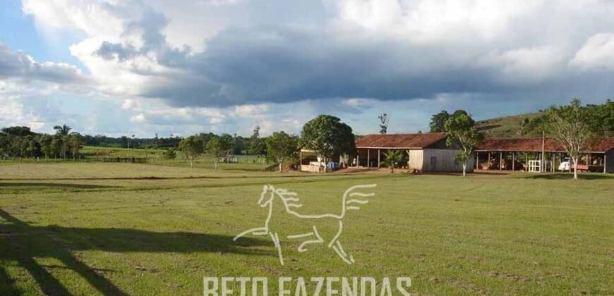 Fazenda à Venda Completíssima 149.166 hectares 4 Pistas de Pouso | Rondolândia/ MT