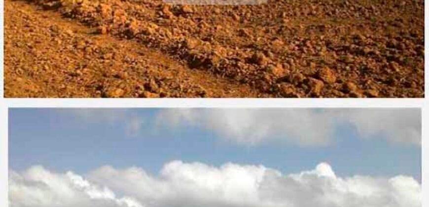 Fazenda TOP Produtiva Lavoura Pasto 46.623 hectares e Pista de Pouso | Paragominas/ PA