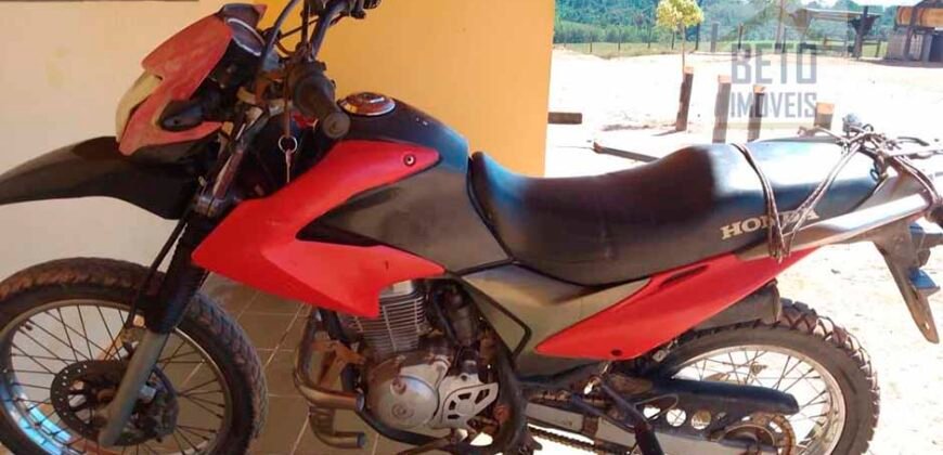 Fazenda para pastagem com 7500 cabeças de gado e próximo à cidade | Marabá – PA Fazenda para pastagem com 7500 cabeças de gado e próximo à cidade | Marabá – PA