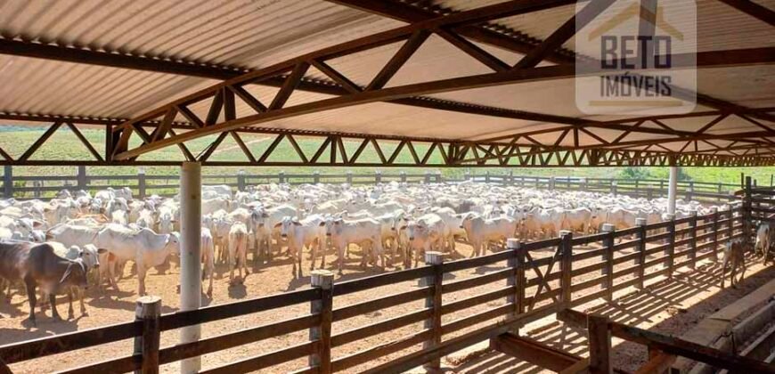 Fazenda para pastagem com 7500 cabeças de gado e próximo à cidade | Marabá – PA Fazenda para pastagem com 7500 cabeças de gado e próximo à cidade | Marabá – PA