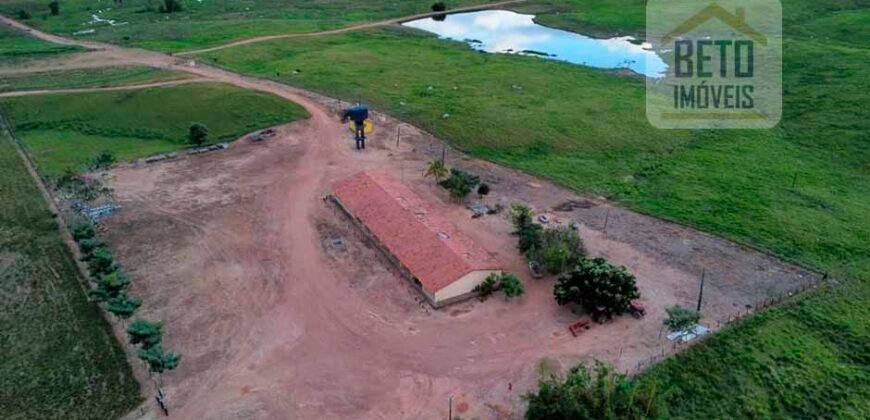 Fazenda para pastagem com 7500 cabeças de gado e próximo à cidade | Marabá – PA Fazenda para pastagem com 7500 cabeças de gado e próximo à cidade | Marabá – PA