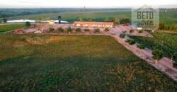 Fazenda para pastagem com 7500 cabeças de gado e próximo à cidade | Marabá – PA Fazenda para pastagem com 7500 cabeças de gado e próximo à cidade | Marabá – PA