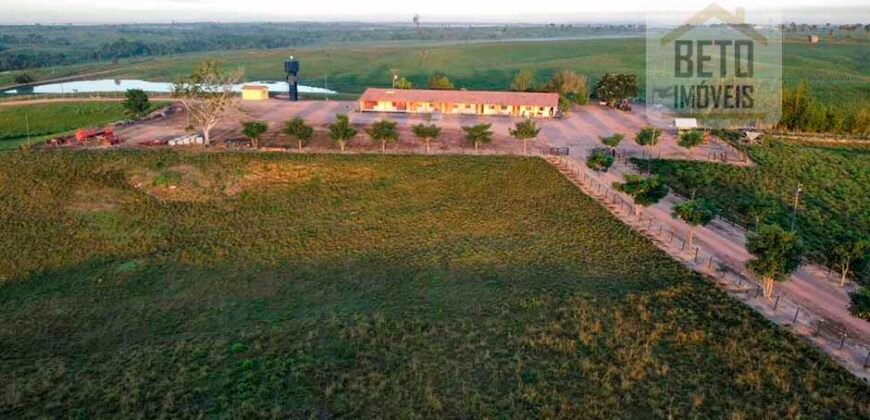 Fazenda para pastagem com 7500 cabeças de gado e próximo à cidade | Marabá – PA Fazenda para pastagem com 7500 cabeças de gado e próximo à cidade | Marabá – PA
