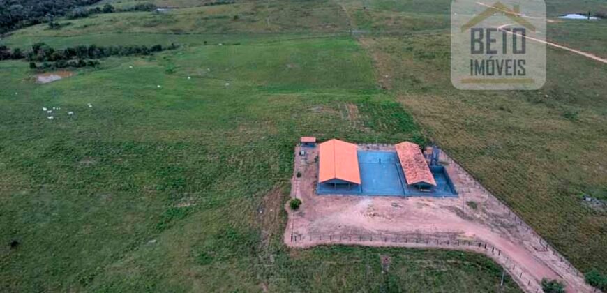 Fazenda para pastagem com 7500 cabeças de gado e próximo à cidade | Marabá – PA Fazenda para pastagem com 7500 cabeças de gado e próximo à cidade | Marabá – PA