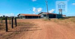 Fazenda para pastagem com 7500 cabeças de gado e próximo à cidade | Marabá – PA Fazenda para pastagem com 7500 cabeças de gado e próximo à cidade | Marabá – PA