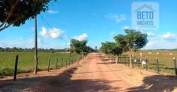 Fazenda para pastagem com 7500 cabeças de gado e próximo à cidade | Marabá – PA Fazenda para pastagem com 7500 cabeças de gado e próximo à cidade | Marabá – PA
