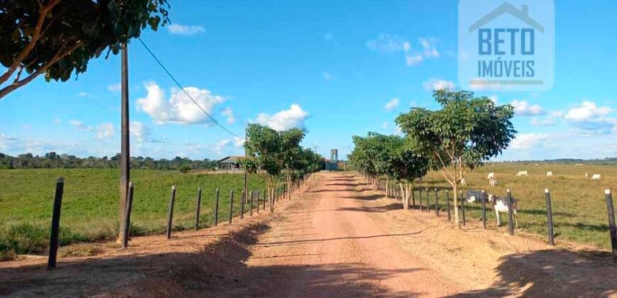 Fazenda para pastagem com 7500 cabeças de gado e próximo à cidade | Marabá – PA Fazenda para pastagem com 7500 cabeças de gado e próximo à cidade | Marabá – PA