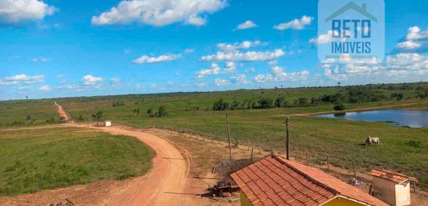 Fazenda para pastagem com 7500 cabeças de gado e próximo à cidade | Marabá – PA Fazenda para pastagem com 7500 cabeças de gado e próximo à cidade | Marabá – PA