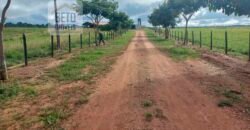 Fazenda para pastagem com 7500 cabeças de gado e próximo à cidade | Marabá – PA Fazenda para pastagem com 7500 cabeças de gado e próximo à cidade | Marabá – PA