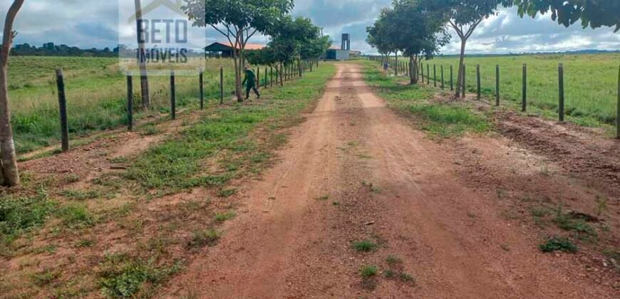 Fazenda para pastagem com 7500 cabeças de gado e próximo à cidade | Marabá – PA Fazenda para pastagem com 7500 cabeças de gado e próximo à cidade | Marabá – PA