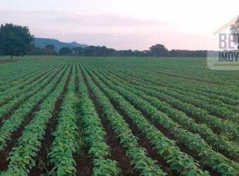 Fazenda com toda infra-estrutura 5 mil hectares para lavoura e pecuária – Palmas/ TO