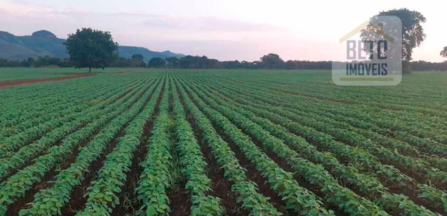Fazenda com toda infra-estrutura 5 mil hectares para lavoura e pecuária – Palmas/ TO