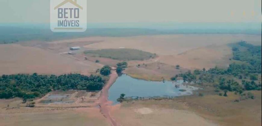 Fazenda com toda infra-estrutura 5 mil hectares para lavoura e pecuária – Palmas/ TO