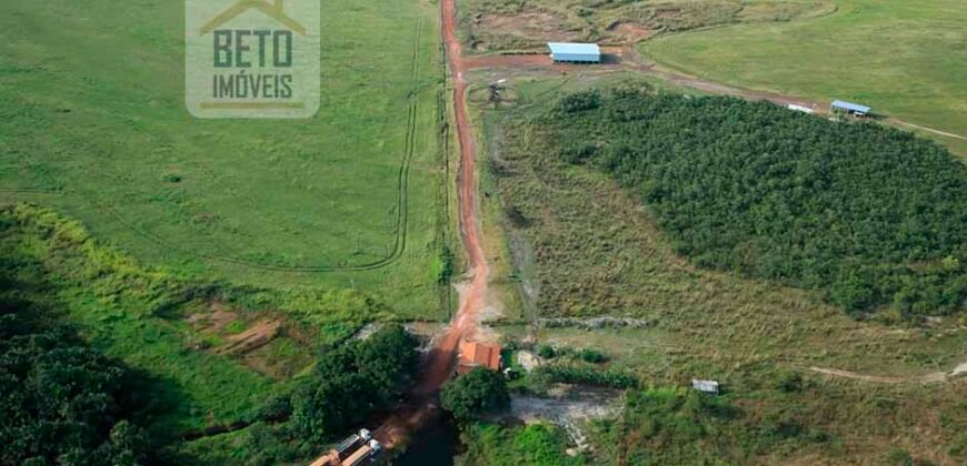 Fazenda com toda infra-estrutura 5 mil hectares para lavoura e pecuária – Palmas/ TO