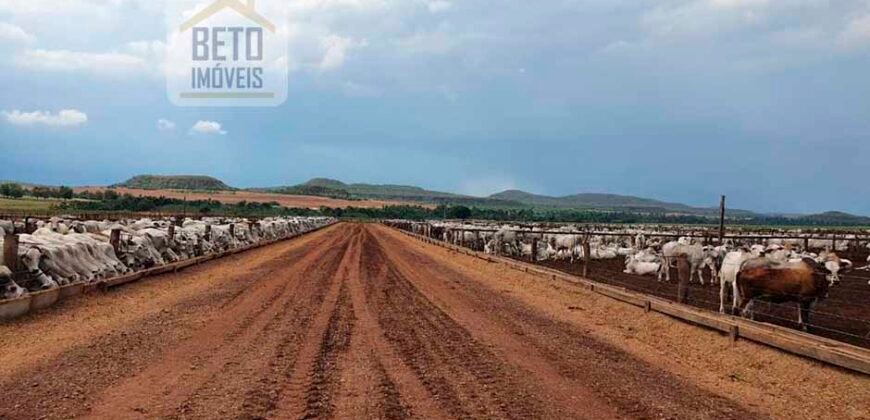 Fazenda com toda infra-estrutura 5 mil hectares para lavoura e pecuária – Palmas/ TO