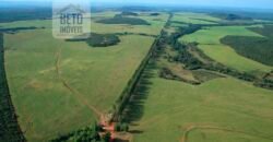 Fazenda com toda infra-estrutura 5 mil hectares para lavoura e pecuária – Palmas/ TO
