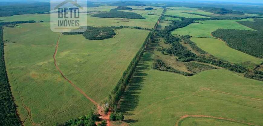 Fazenda com toda infra-estrutura 5 mil hectares para lavoura e pecuária – Palmas/ TO