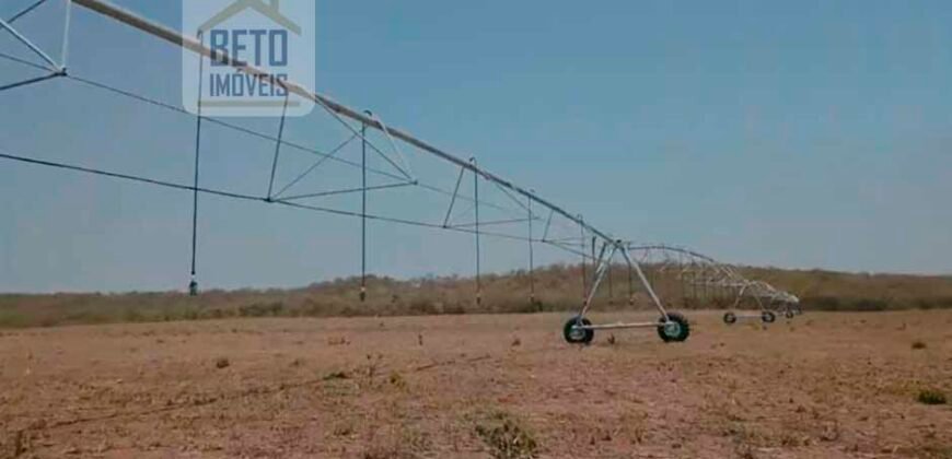 Fazenda com toda infra-estrutura 5 mil hectares para lavoura e pecuária – Palmas/ TO