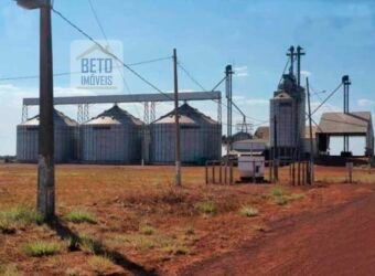 Fazenda para lavoura e pasto com toda infraestrutura 29.739 hectares | Bacia do Araguia – TO