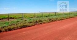 Fazenda para lavoura e pasto com toda infraestrutura 29.739 hectares | Bacia do Araguia – TO Fazenda para lavoura e pasto com toda infraestrutura 29.739 hectares | Bacia do Araguia – TO