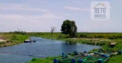 Fazenda para lavoura e pasto com toda infraestrutura 29.739 hectares | Bacia do Araguia – TO Fazenda para lavoura e pasto com toda infraestrutura 29.739 hectares | Bacia do Araguia – TO