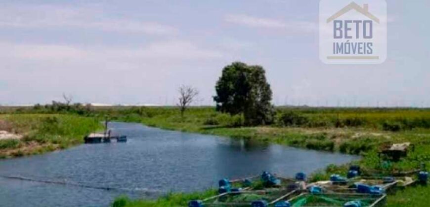 Fazenda para lavoura e pasto com toda infraestrutura 29.739 hectares | Bacia do Araguia – TO Fazenda para lavoura e pasto com toda infraestrutura 29.739 hectares | Bacia do Araguia – TO