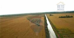 Fazenda para lavoura e pasto com toda infraestrutura 29.739 hectares | Bacia do Araguia – TO Fazenda para lavoura e pasto com toda infraestrutura 29.739 hectares | Bacia do Araguia – TO