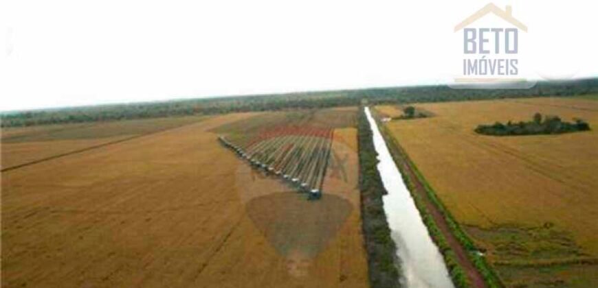 Fazenda para lavoura e pasto com toda infraestrutura 29.739 hectares | Bacia do Araguia – TO Fazenda para lavoura e pasto com toda infraestrutura 29.739 hectares | Bacia do Araguia – TO